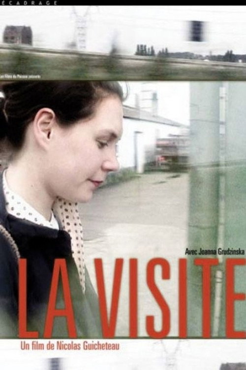 Movie poster for La visite (2005)
