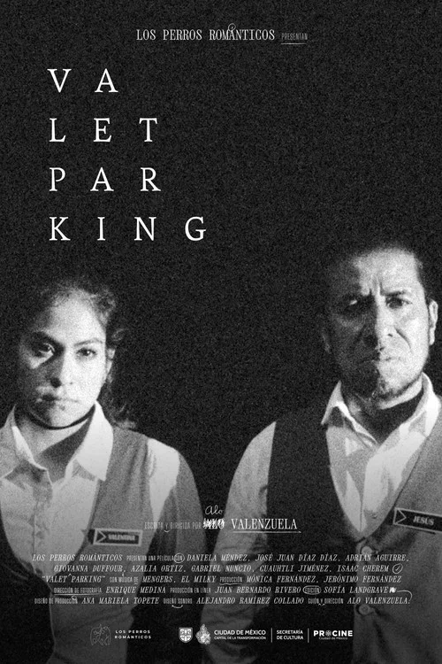Movie poster for Valet parking (2026)