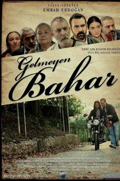 Movie poster for Gelmeyen Bahar (2013)