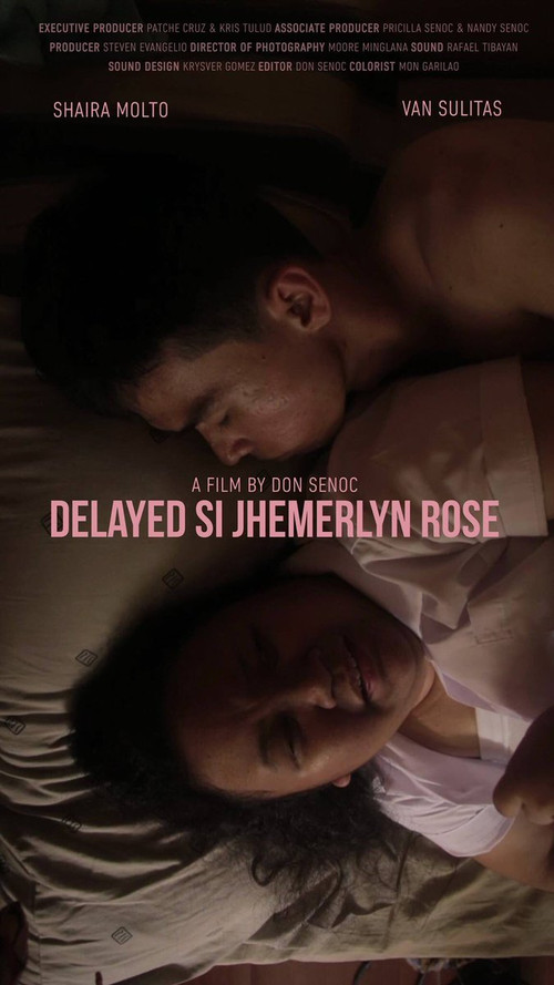 Movie poster for Delayed si Jhemerlyn Rose (2017)