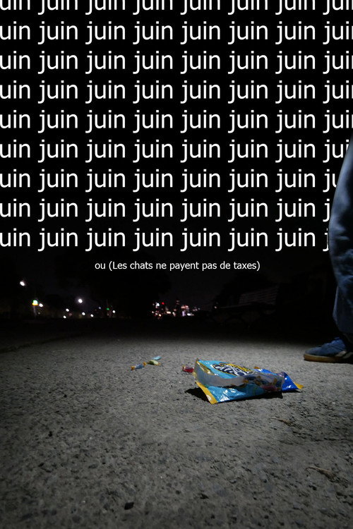 Movie poster for Juin ou  (Les chats ne payent pas de taxes) (2025)