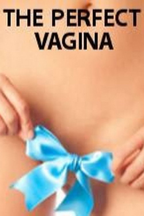 Movie poster for The Perfect Vagina (2008)