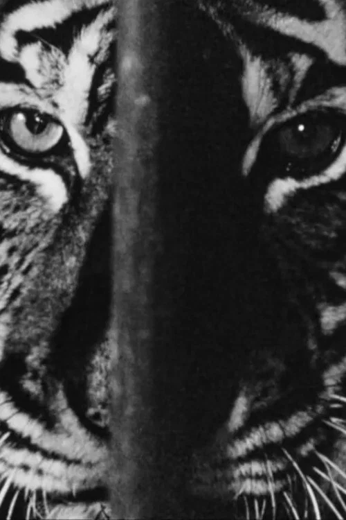 Movie poster for Marguerite Duras in the Lions' Den (1966)
