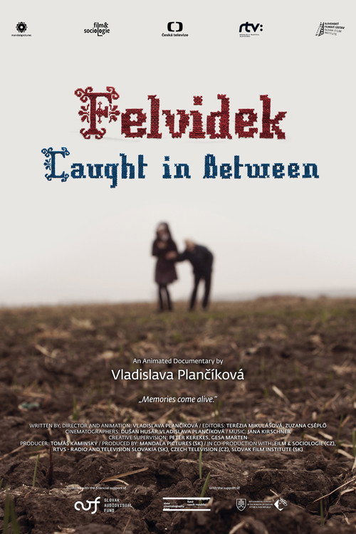 Movie poster for Felvidek – Caught in Between (2014)