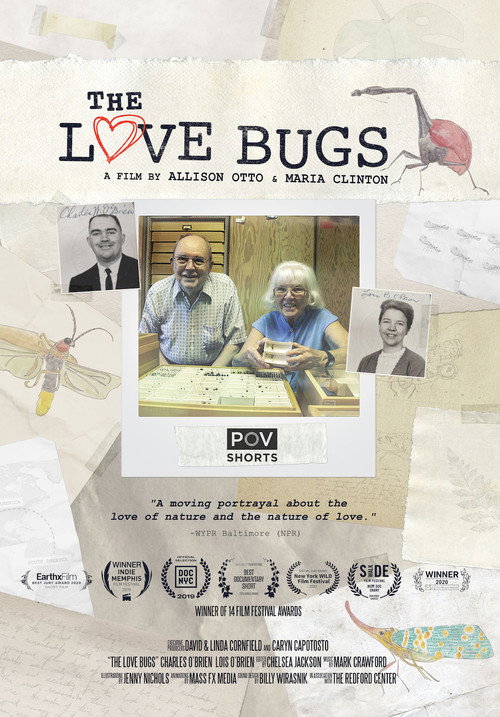 Movie poster for The Love Bugs (2019)