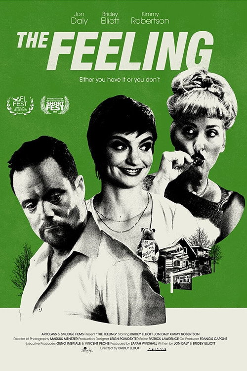 Movie poster for The Feeling (2020)