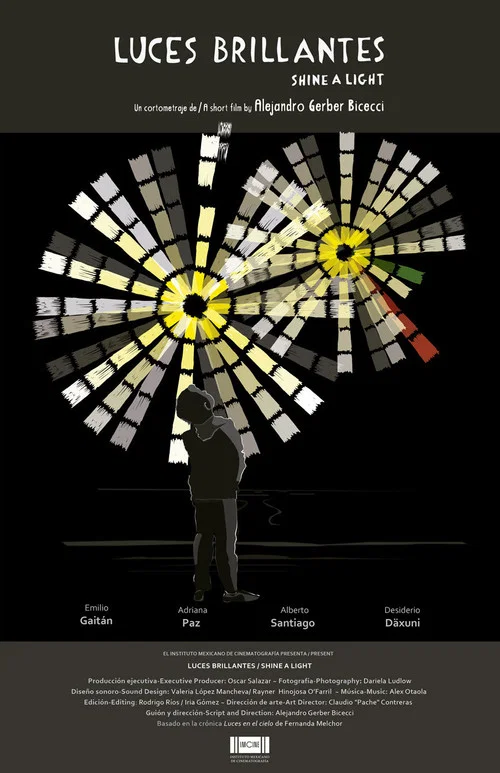 Movie poster for Shine a Light (2016)