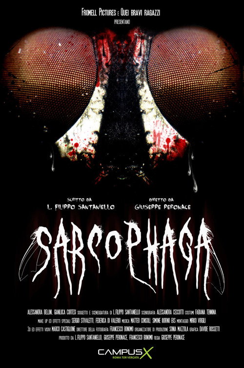 Movie poster for Sarcophaga (2013)