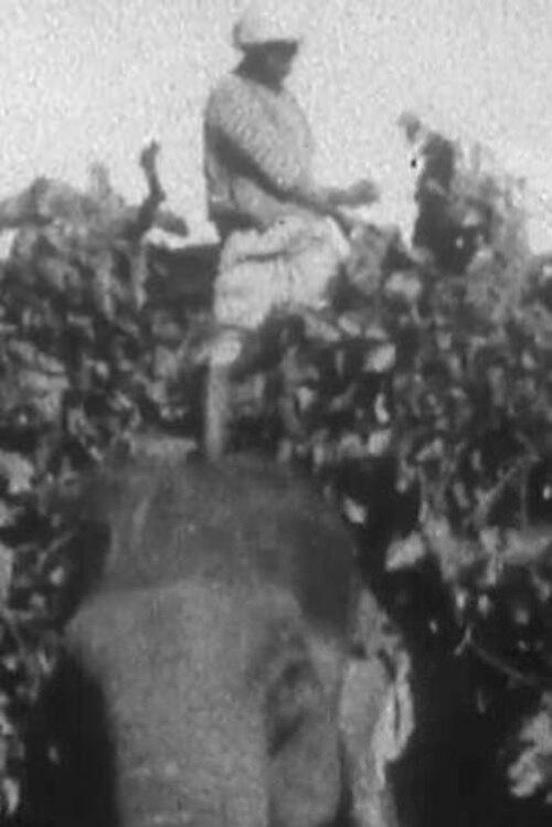 Movie poster for Indian Elephants in the Service of Man (1938)