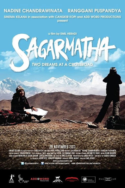 Movie poster for Sagarmatha (2013)