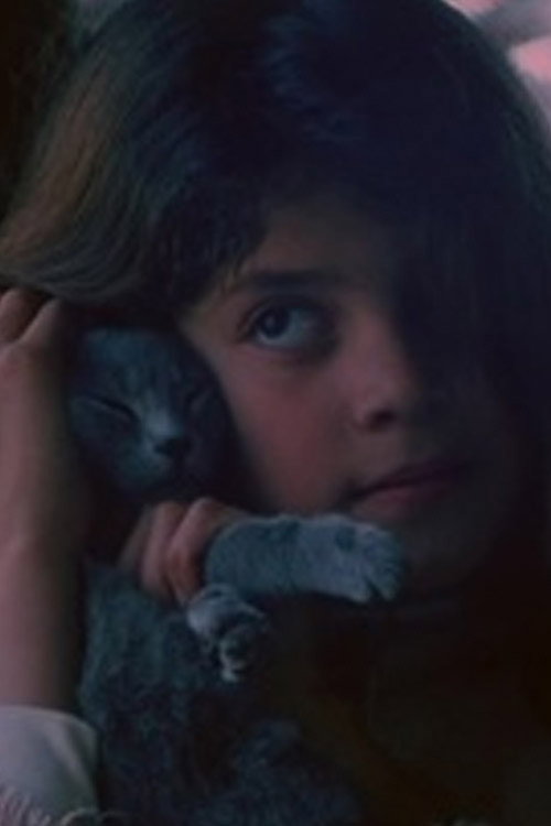 Movie poster for El eco (1984)