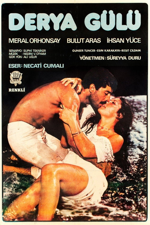 Movie poster for Derya Gülü (1979)