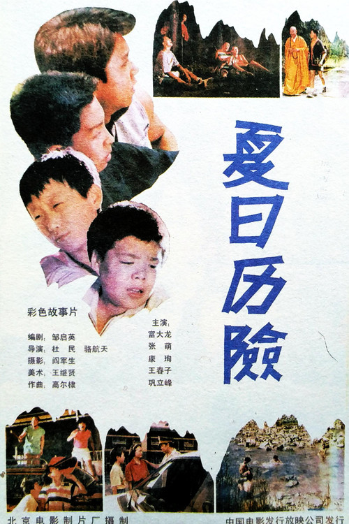 Movie poster for 夏日历险 (1991)