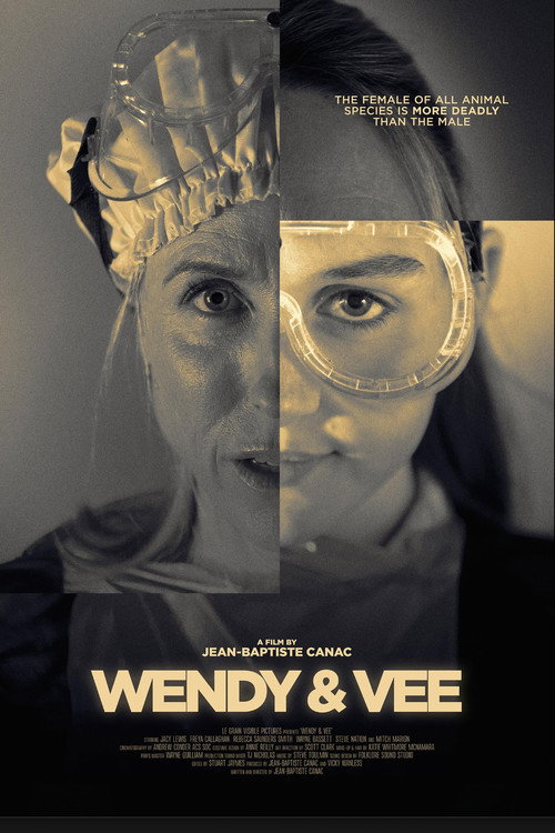 Movie poster for Wendy and Vee (2022)