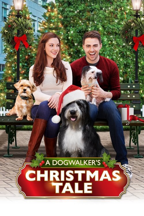 Movie poster for A Dogwalker's Christmas Tale (2015)