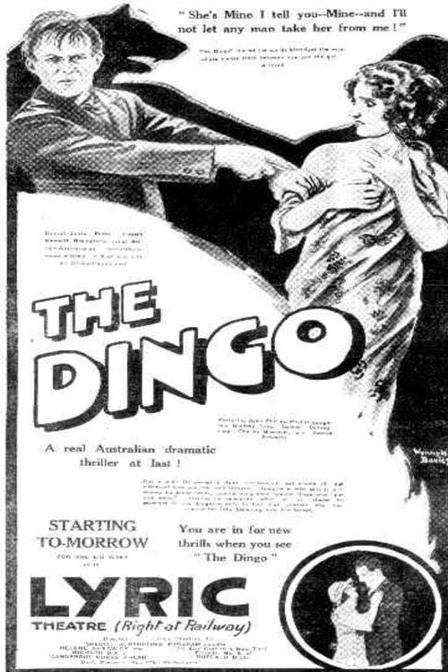 Movie poster for The Dingo (1923)