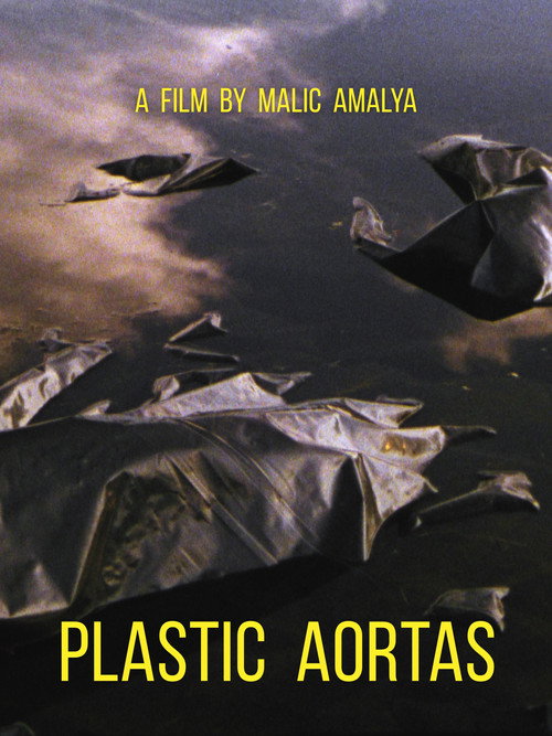 Movie poster for Plastic Aortas (2024)