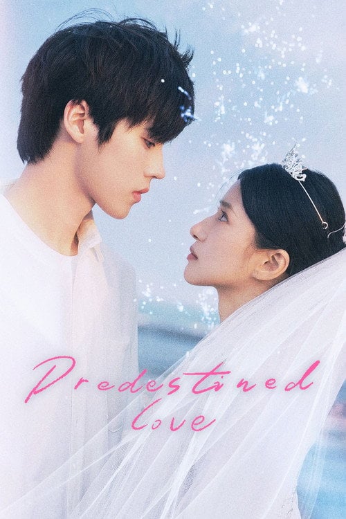 Series poster for Predestined Love (2026)