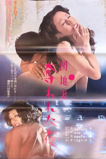Movie poster for Apartment Wife: Night of the Rape (1973)