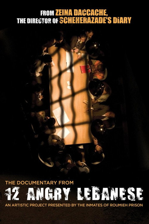 Movie poster for 12 Angry Lebanese (2009)