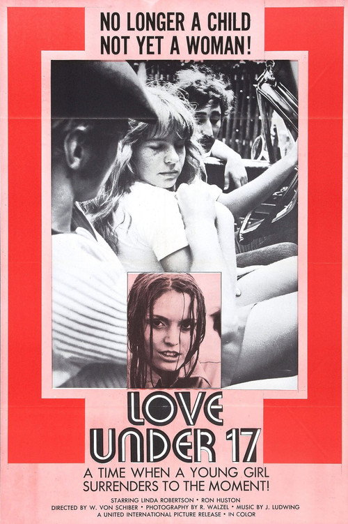 Movie poster for Love Under 17 (1971)