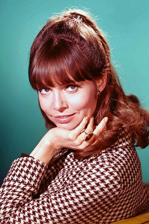 Barbara Feldon profile