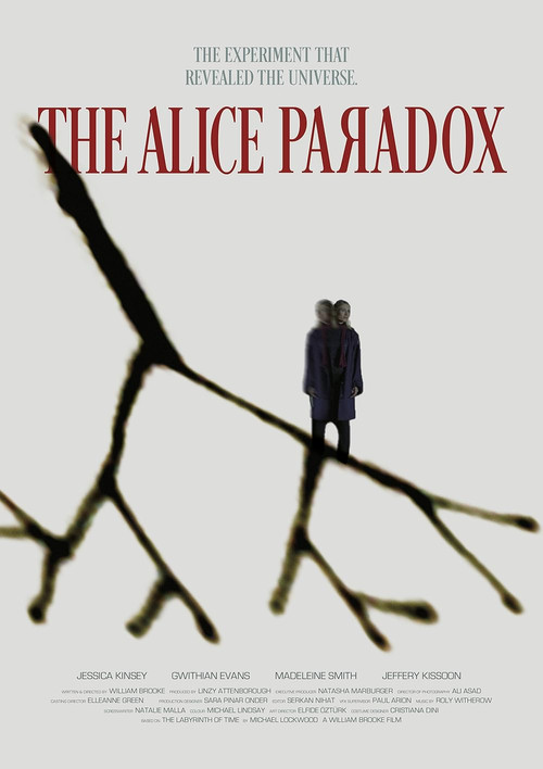 The Alice Paradox poster