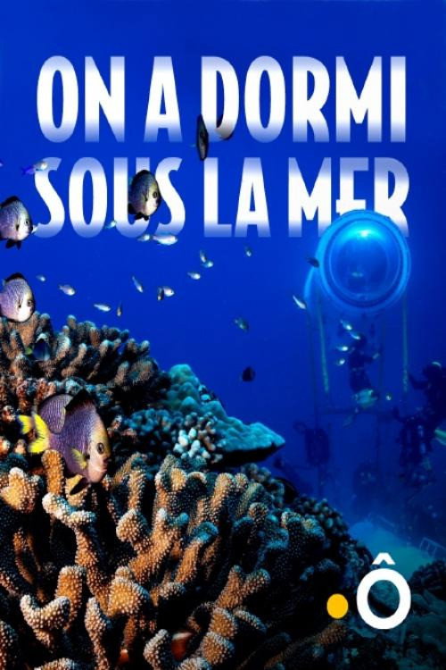 Movie poster for On a dormi sous la mer (2020)