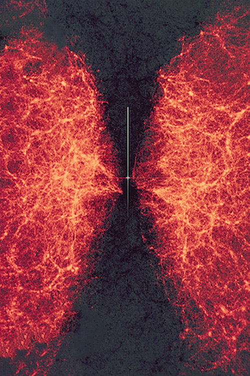 Movie poster for data-verse 1 (2019)