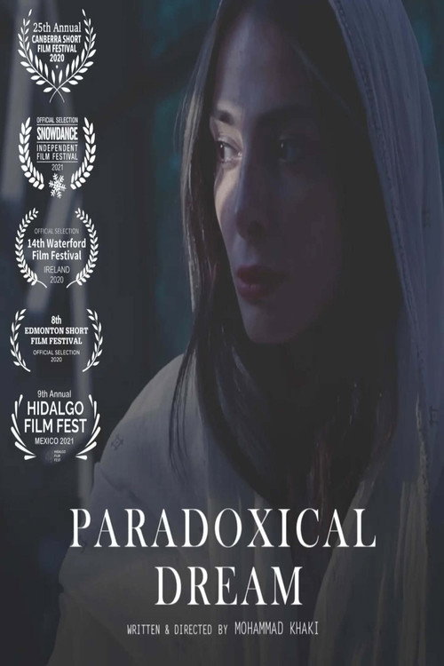 Movie poster for Paradoxical Dream (2025)
