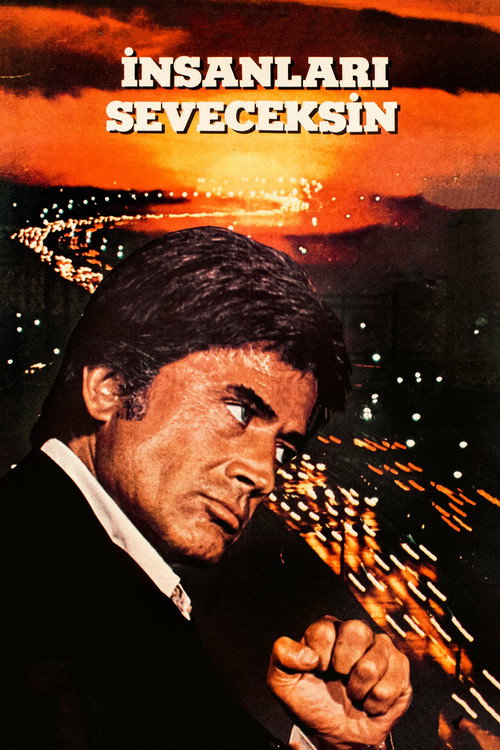 Movie poster for İnsanları Seveceksin (1979)