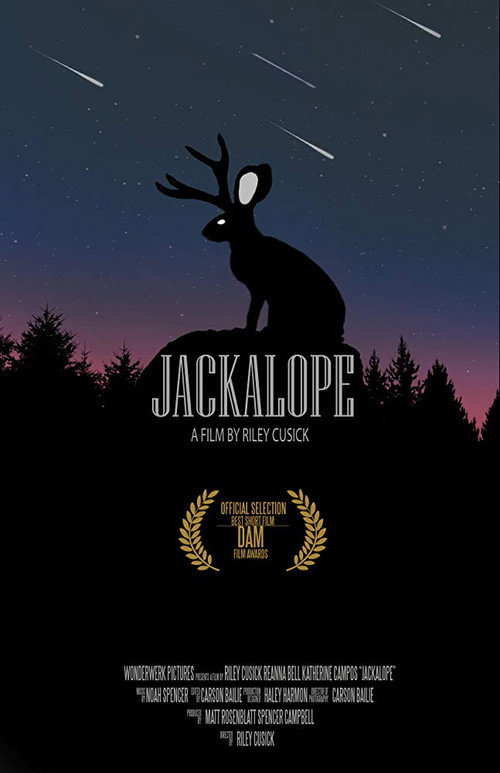 Movie poster for Jackalope (2018)