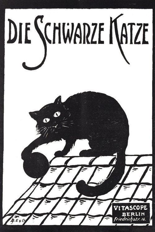 Movie poster for Die schwarze Katze 1. Teil (1912)