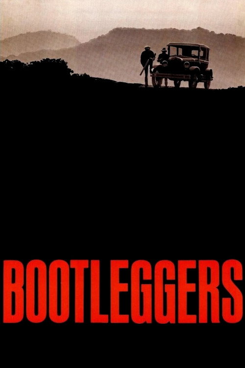 Movie poster for Bootleggers (1974)