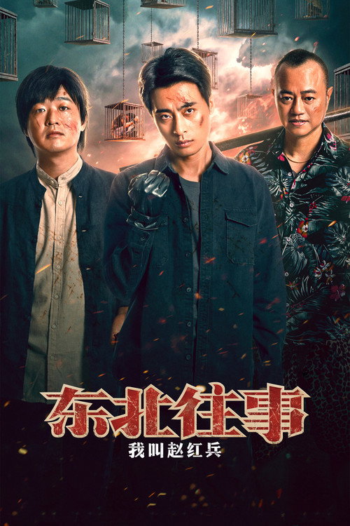 Movie poster for 东北往事之我叫赵红兵 (2022)