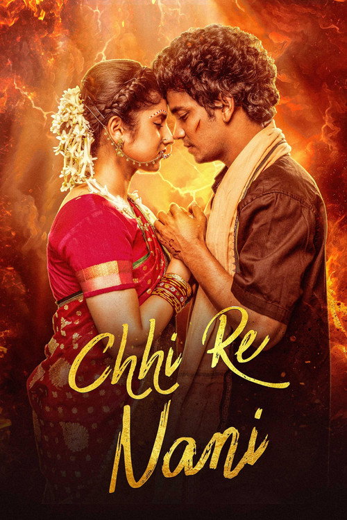 Movie poster for Chi Re Nani (2025)