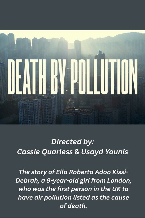 Movie poster for Death by Pollution (2021)
