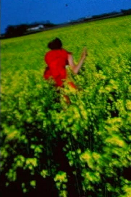 Movie poster for Nirona (1968)