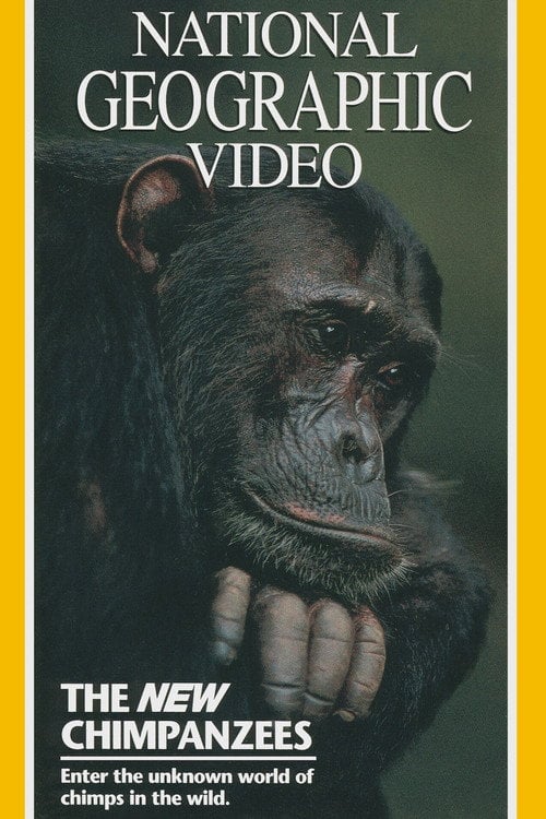 Movie poster for The New Chimpanzees (1995)