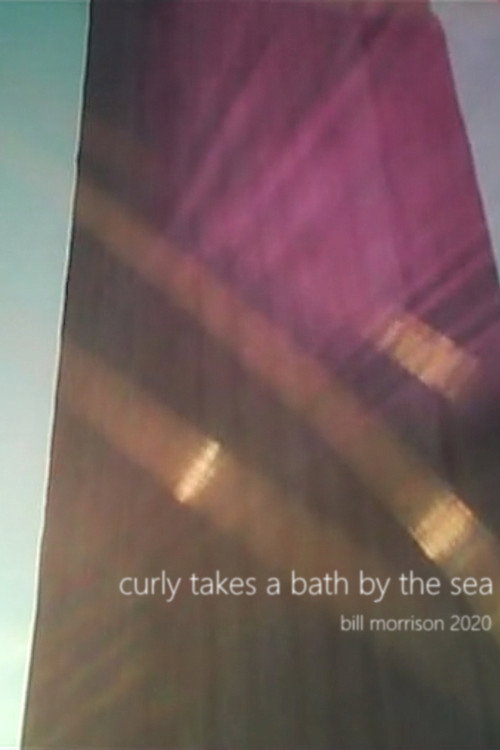Movie poster for Curly Takes a Bath by the Sea (2020)