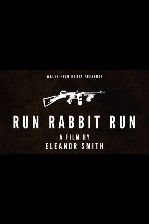 Movie poster for Run Rabbit Run (2017)