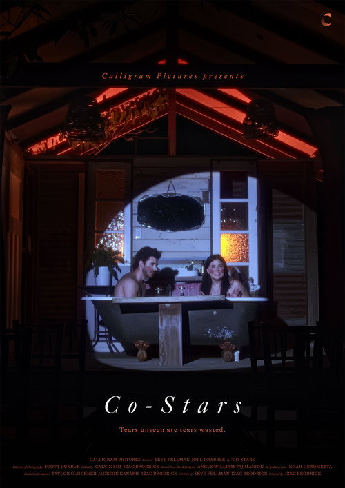 Movie poster for Co-Stars