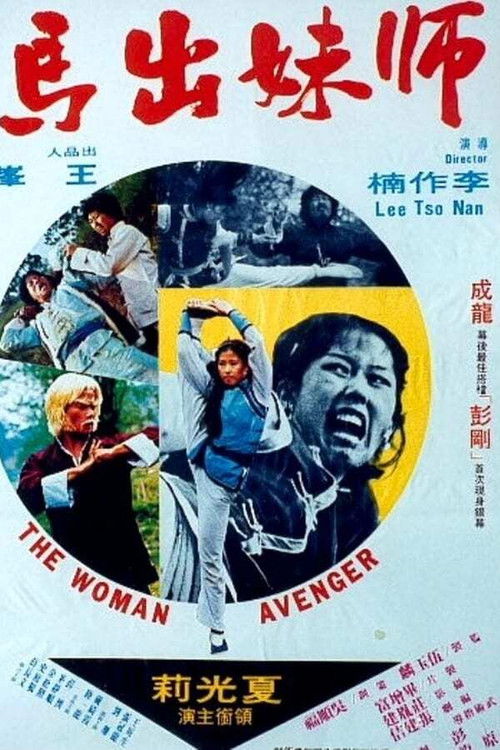 Movie poster for Woman Avenger (1980)