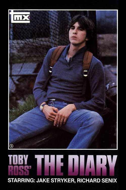 Movie poster for The Diary (1982)