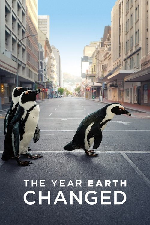Movie poster for The Year Earth Changed (2021)