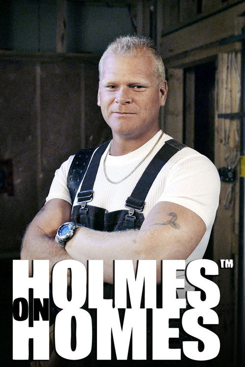 Series poster for Holmes on Homes (2003)