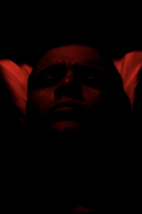 Movie poster for Incubador (2017)