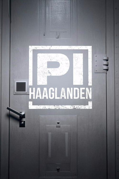 Series poster for P.I. Haaglanden (2025)