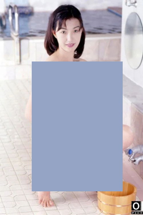 Widow's Bathhouse 2: Wet the Entrance poster