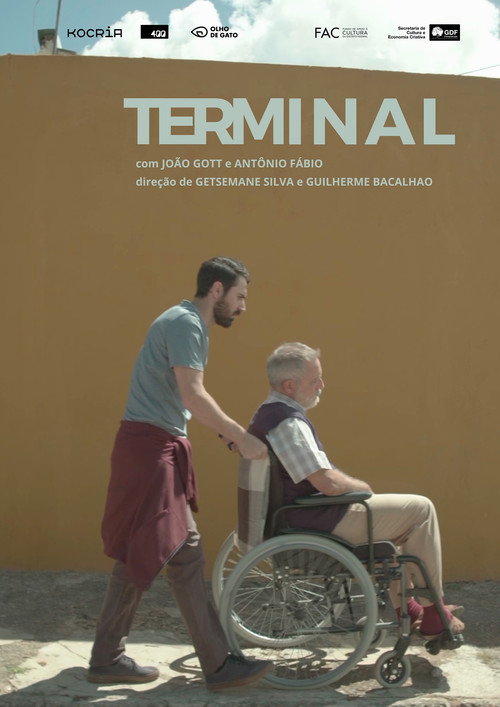 Movie poster for Terminal (2024)